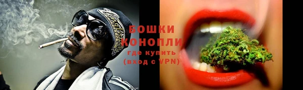 PSILOCYBIN Балахна
