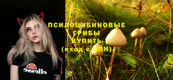 мескалин Баксан
